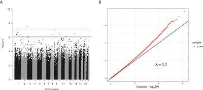 Epigenetic Changes in Neonates Born to Mothers With Gestational Diabetes Mellitus May Be Associated With Neonatal Hypoglycaemia